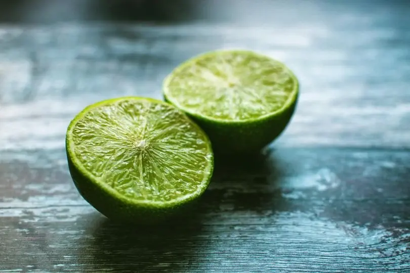 Máy Ép Trái Cây Thương Mại Mutifruit: Hướng Dẫn Lắp Đặt và Sử Dụng