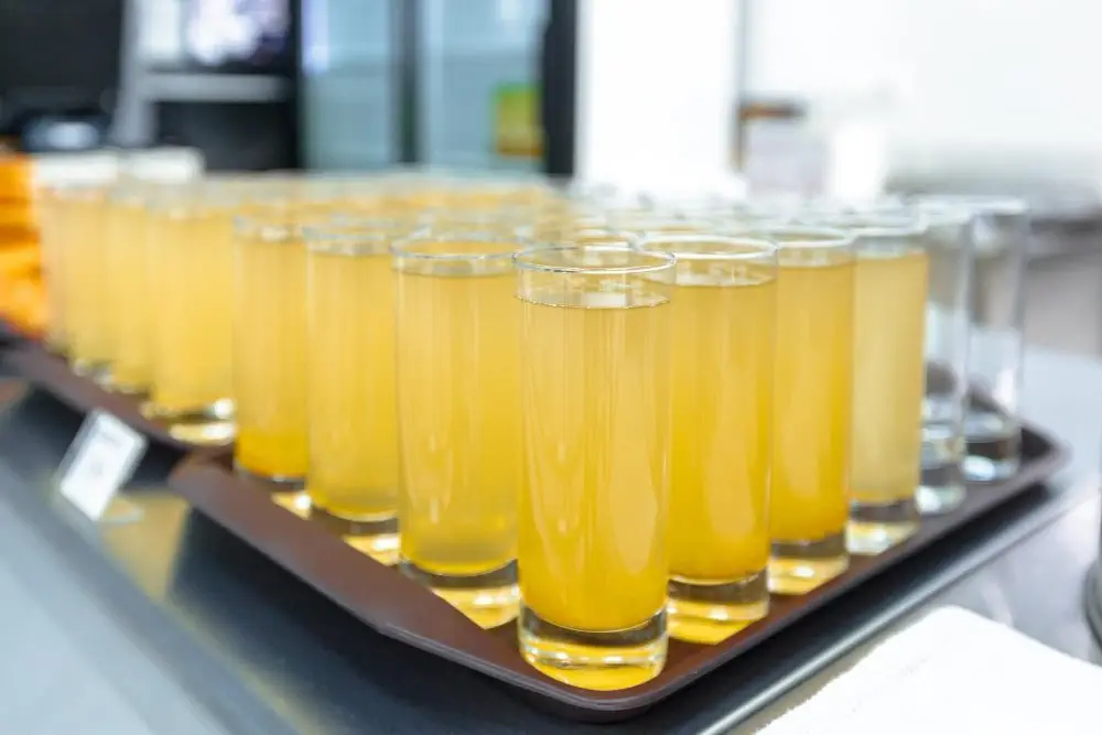Máy Ép Trái Cây Thương Mại Multifruit: Cách Làm Sạch Máy Nhanh Chóng