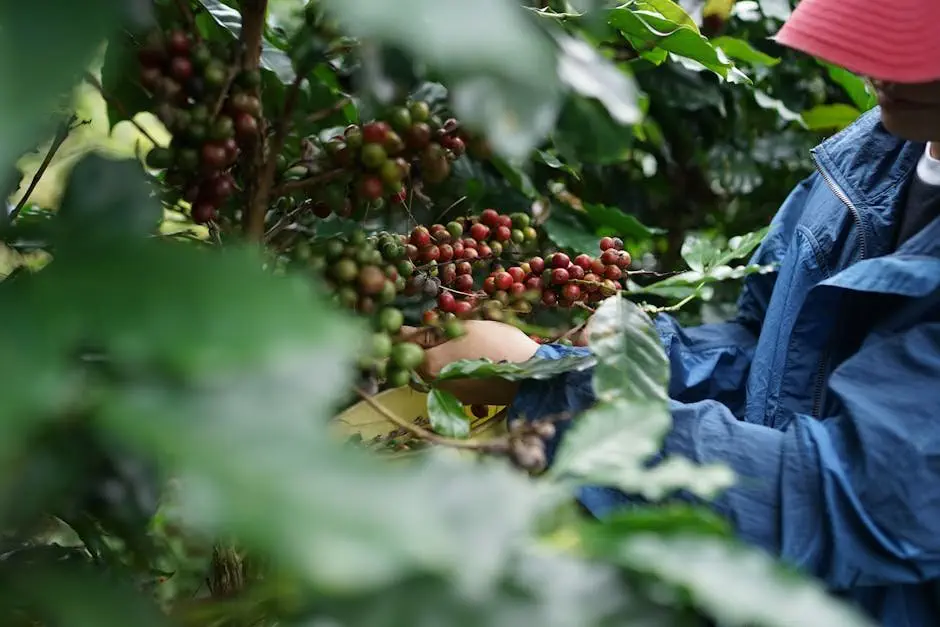 So Sánh Coffee Việt Và Coffee Ý: Những Điểm Tương Đồng Và Khác Biệt